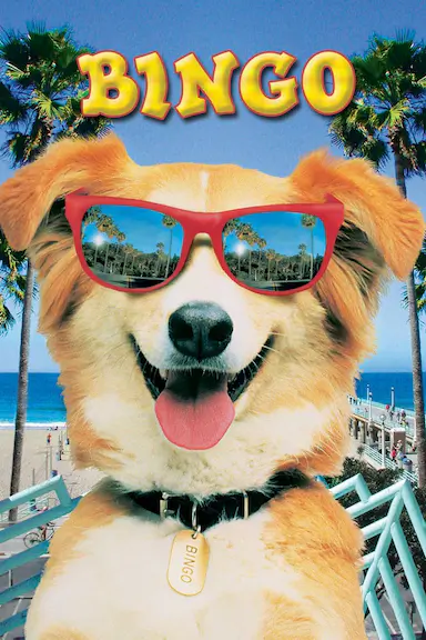 灵犬宾果