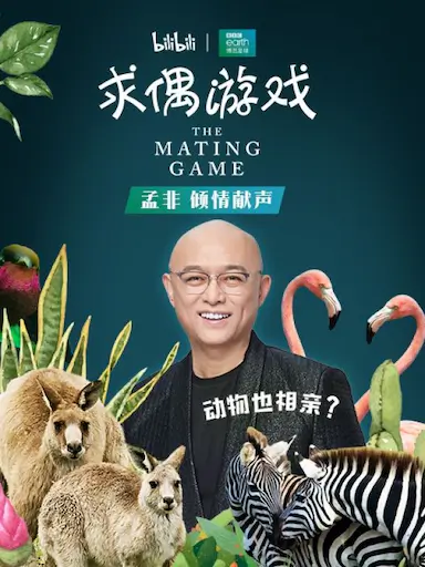 求偶游戏